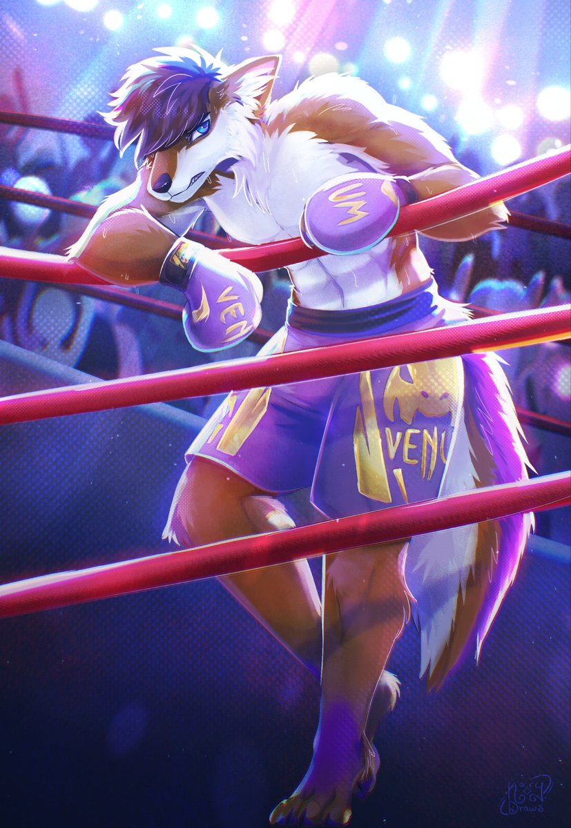 CrashTheWolf tweet media