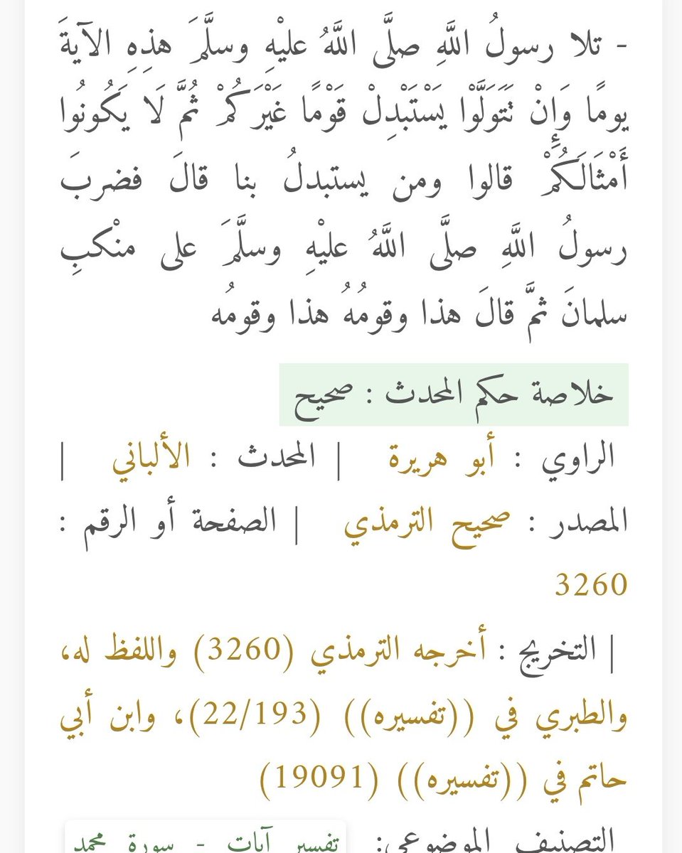 🔻🇵🇸Ashraf Galal tweet media