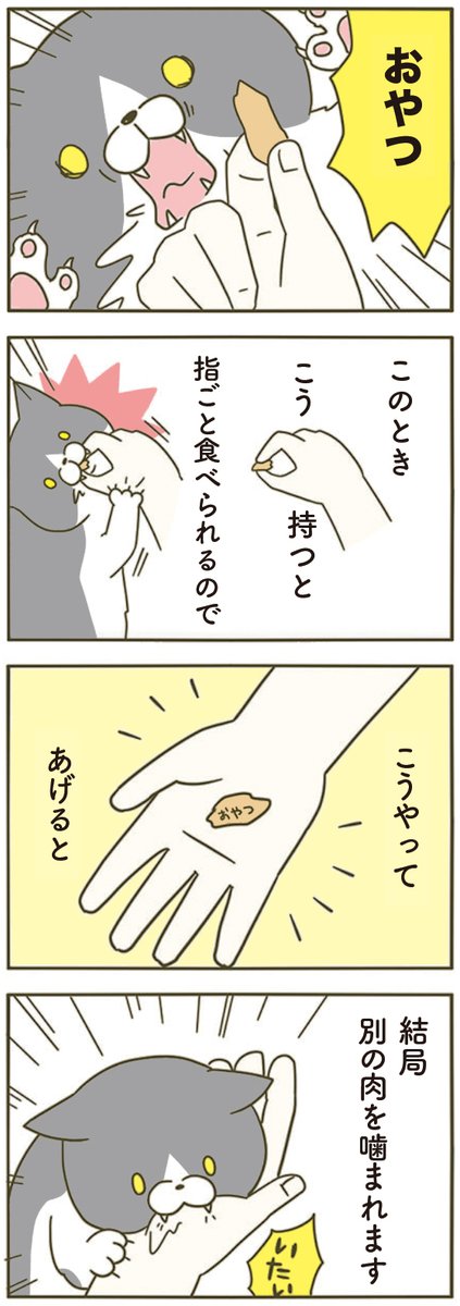 卵山玉子 tweet media