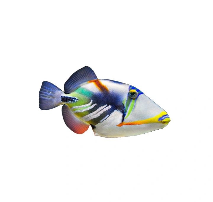 ليز💤 tweet media