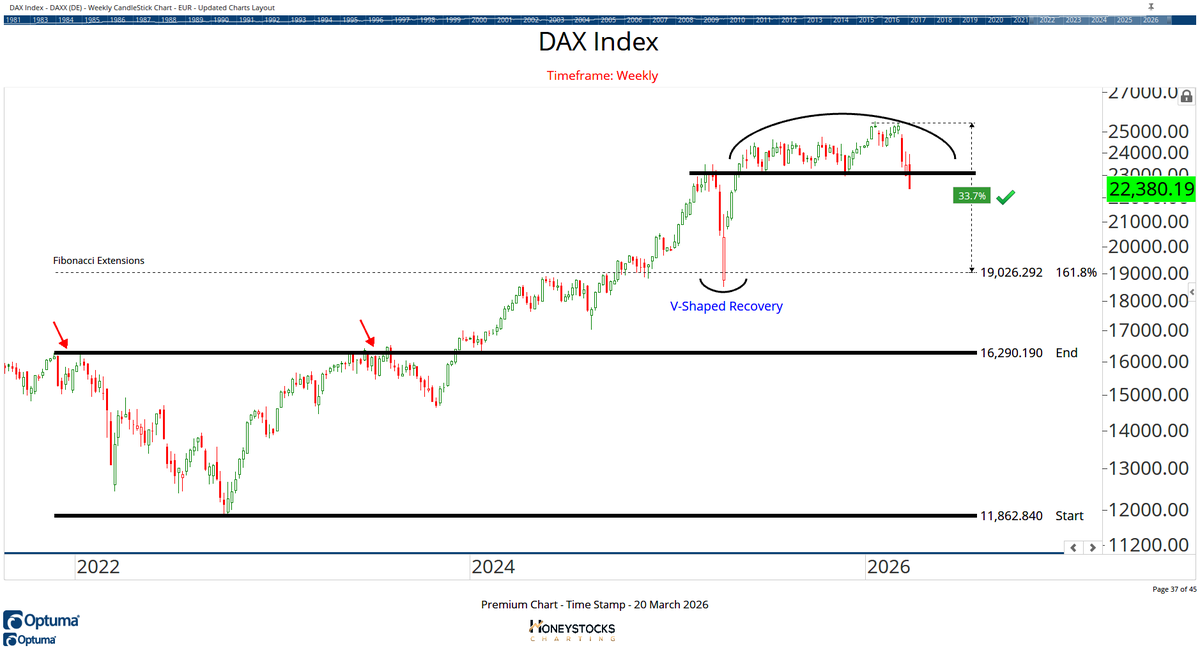 Sammy McCallum 🥇 tweet media