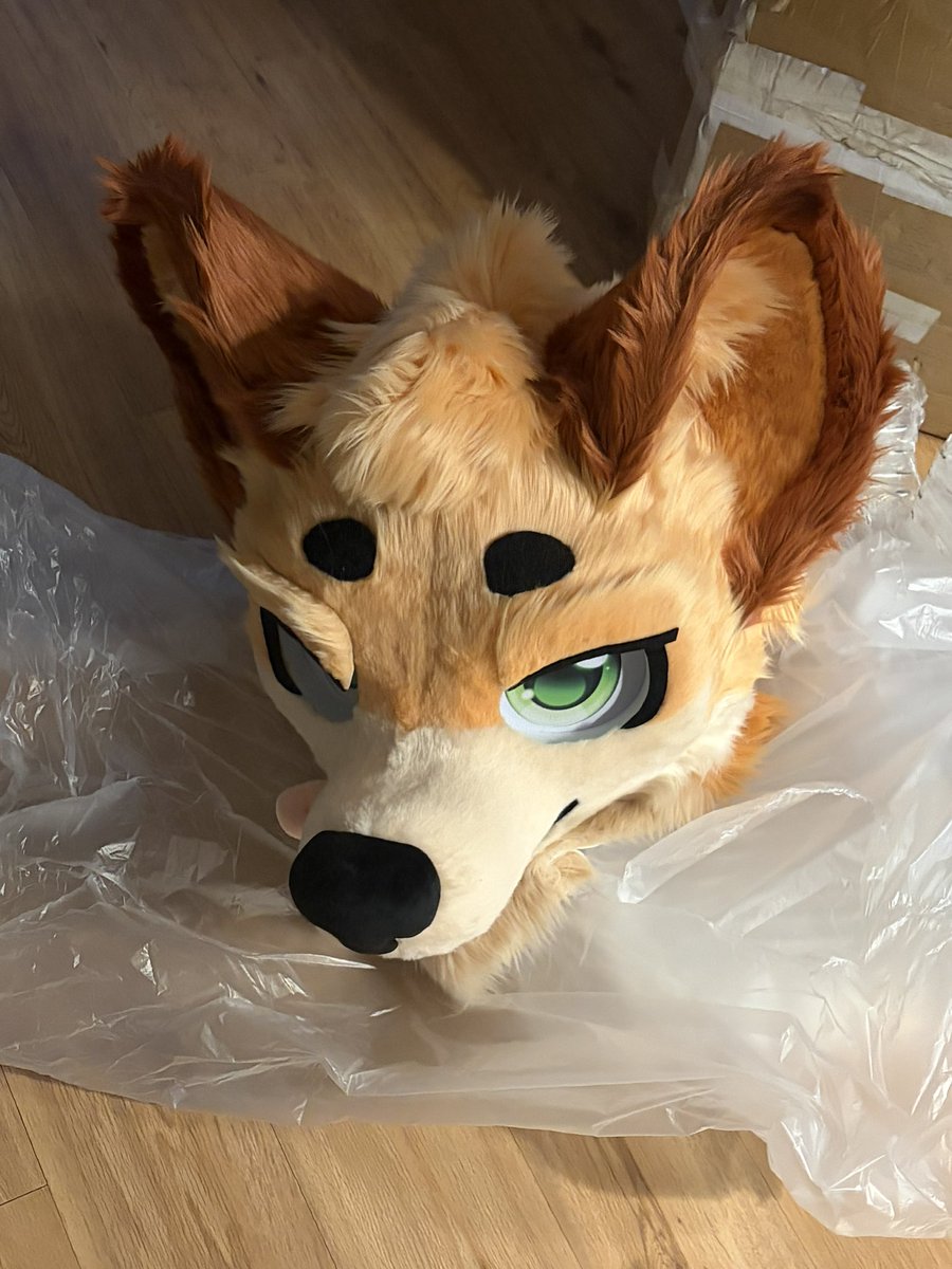 LeggyBeans🔜BWS tweet media