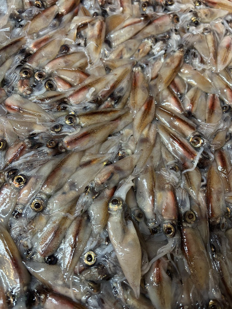 中華そば半ざわ tweet media