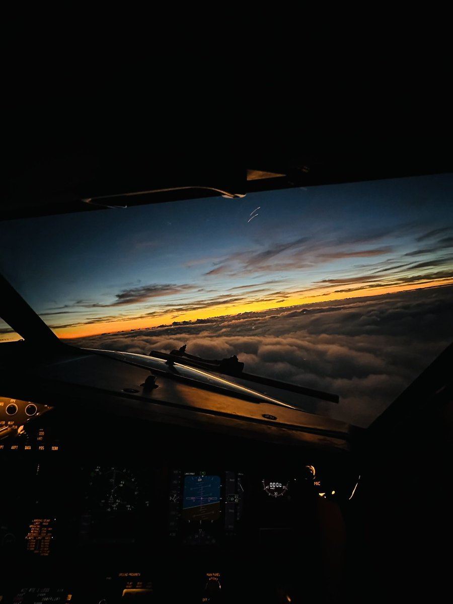 Modo Vuelo tweet media