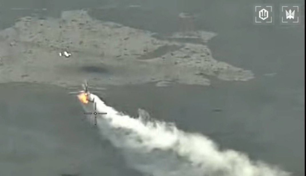 Visegrád 24 tweet media