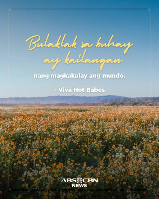 ABSCBNNews's tweet image. A philosopher once said. #FlowerDay