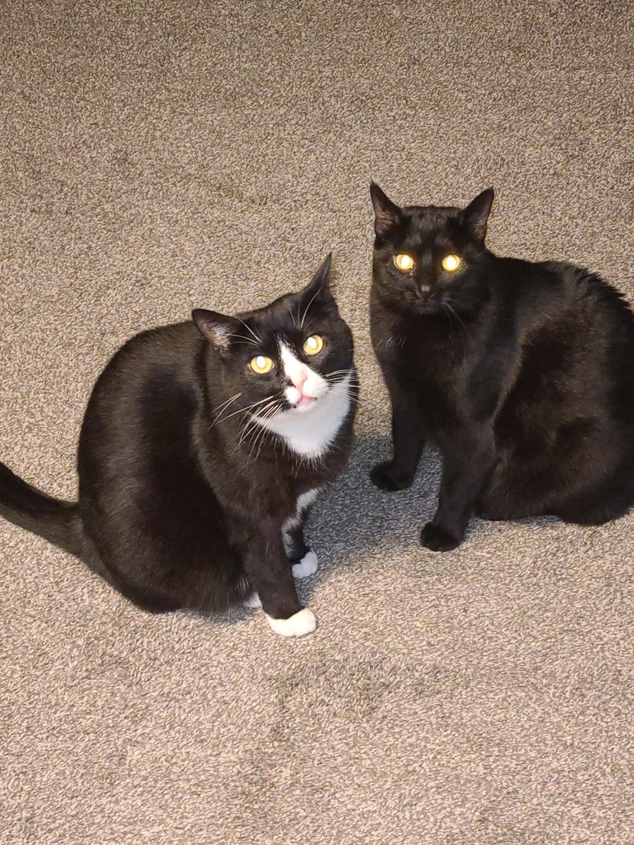 Rusty_Shacklechud83 tweet media