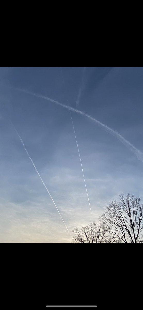 Springtucky tweet media