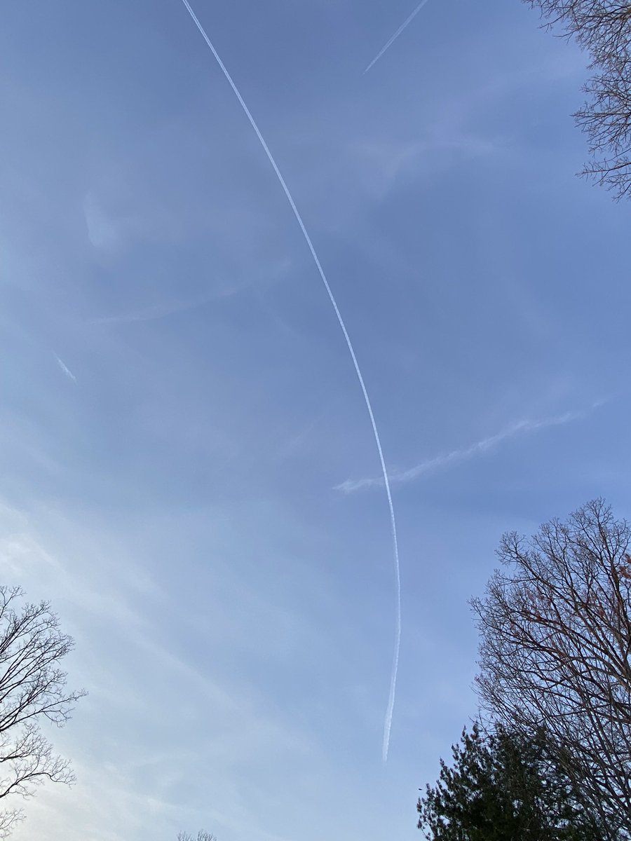 Springtucky tweet media