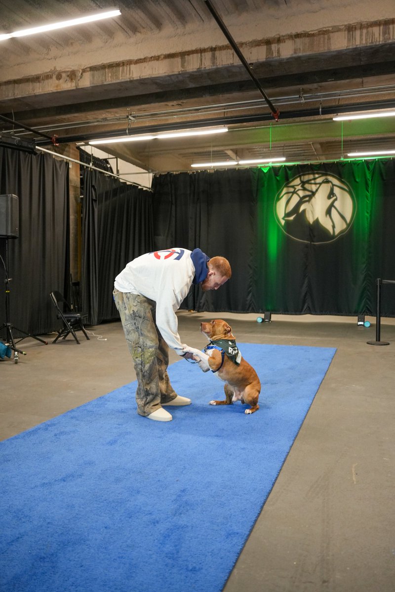 Ruff Start Rescue tweet media