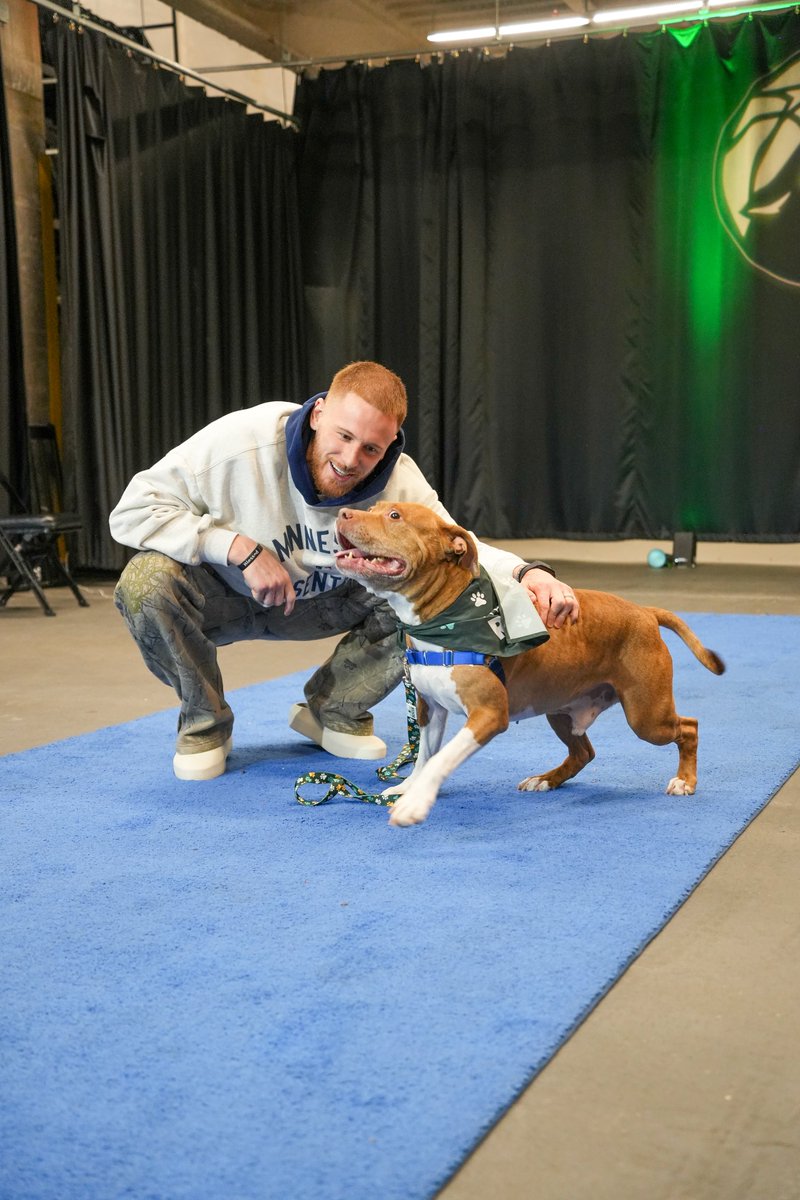 Ruff Start Rescue tweet media