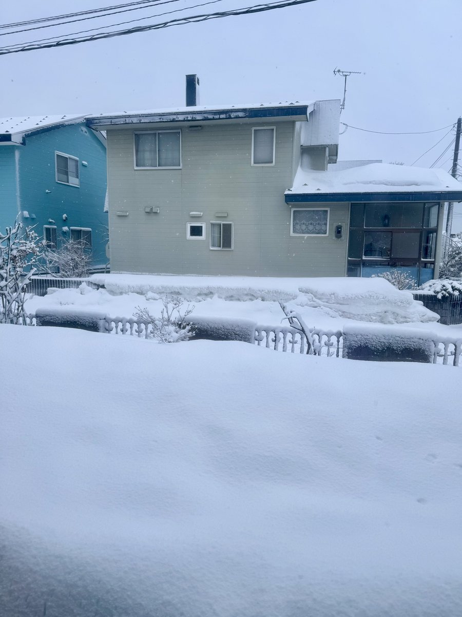 じぇっきゃ tweet media