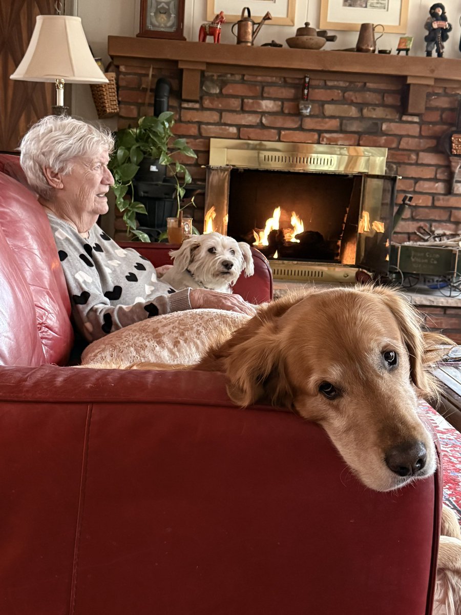 Phil Mount tweet media