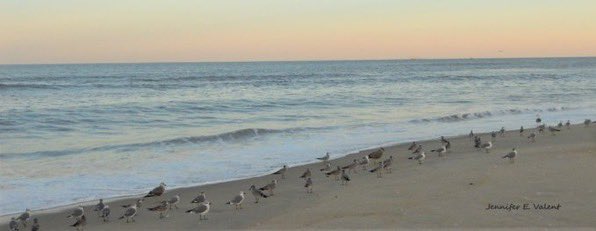 Jennifer Erin Valent 🇺🇸🇺🇦 tweet media