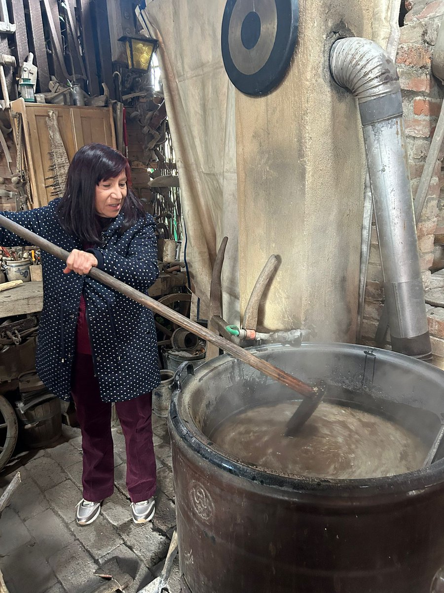 Centro Educación Adultos Infante, centro Erasmus+ tweet media