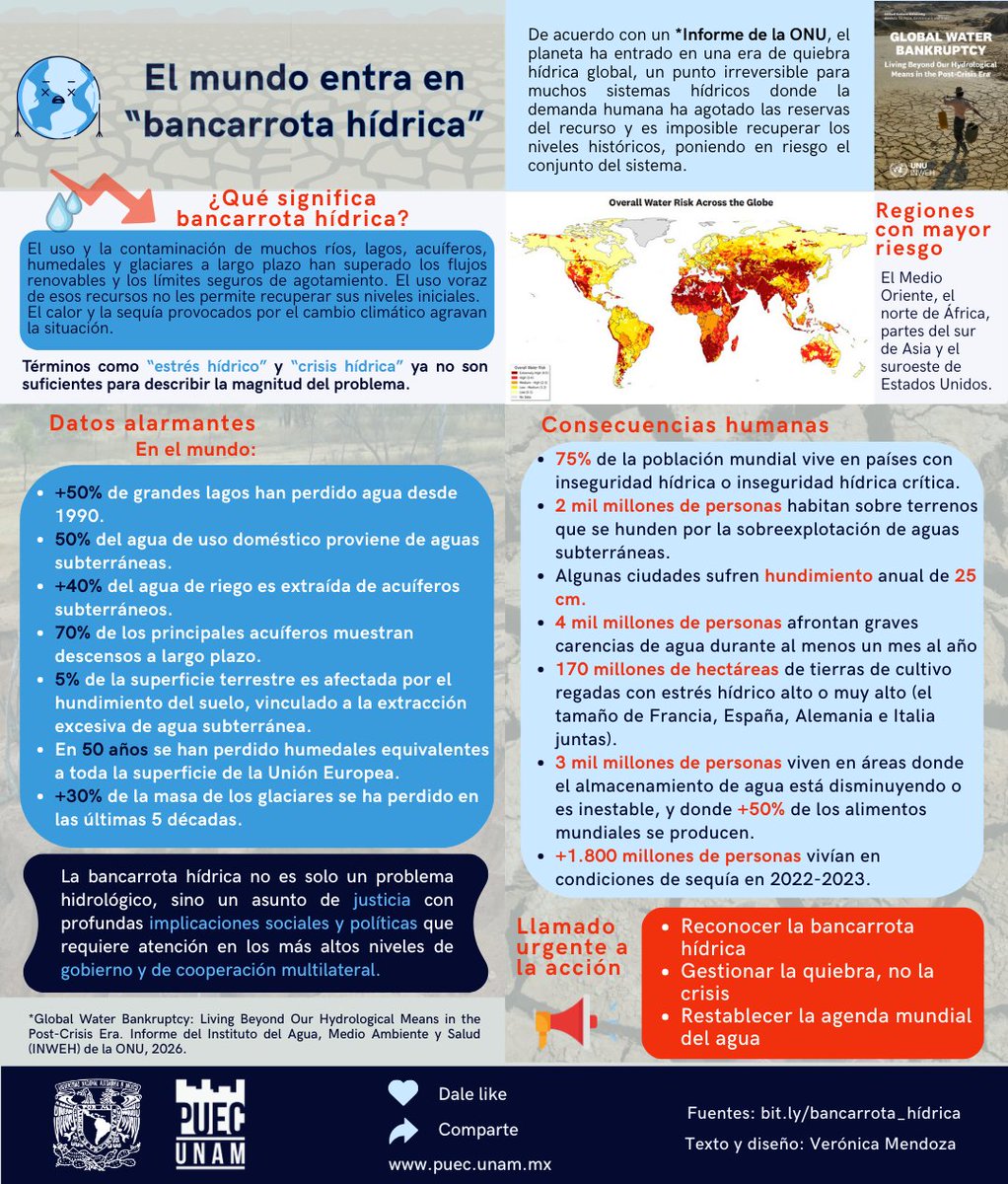 PUEC UNAM tweet media