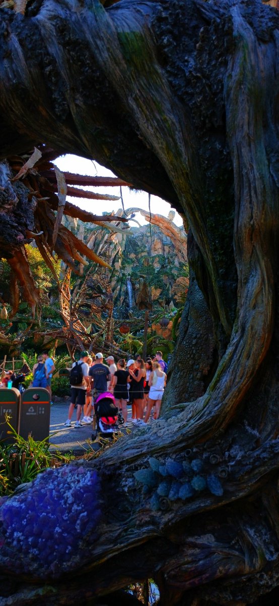 Mattlegostar tweet media