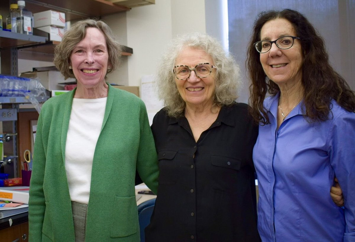Immune_News's tweet photo. .@NorthwellHealth's Drs. Meggan Mackay, Betty Diamond, and Cynthia Aranowat are embarking on a #ClinicalStudy to explore 'true' #Lupus remission clues in immune cells, brain and gut, supported by the @LupusResearch and @NIH. 🧠 

Congratulations! 🤝

🔗 https://t.co/rGZsBJDgNR https://t.co/8kdgduF9s1