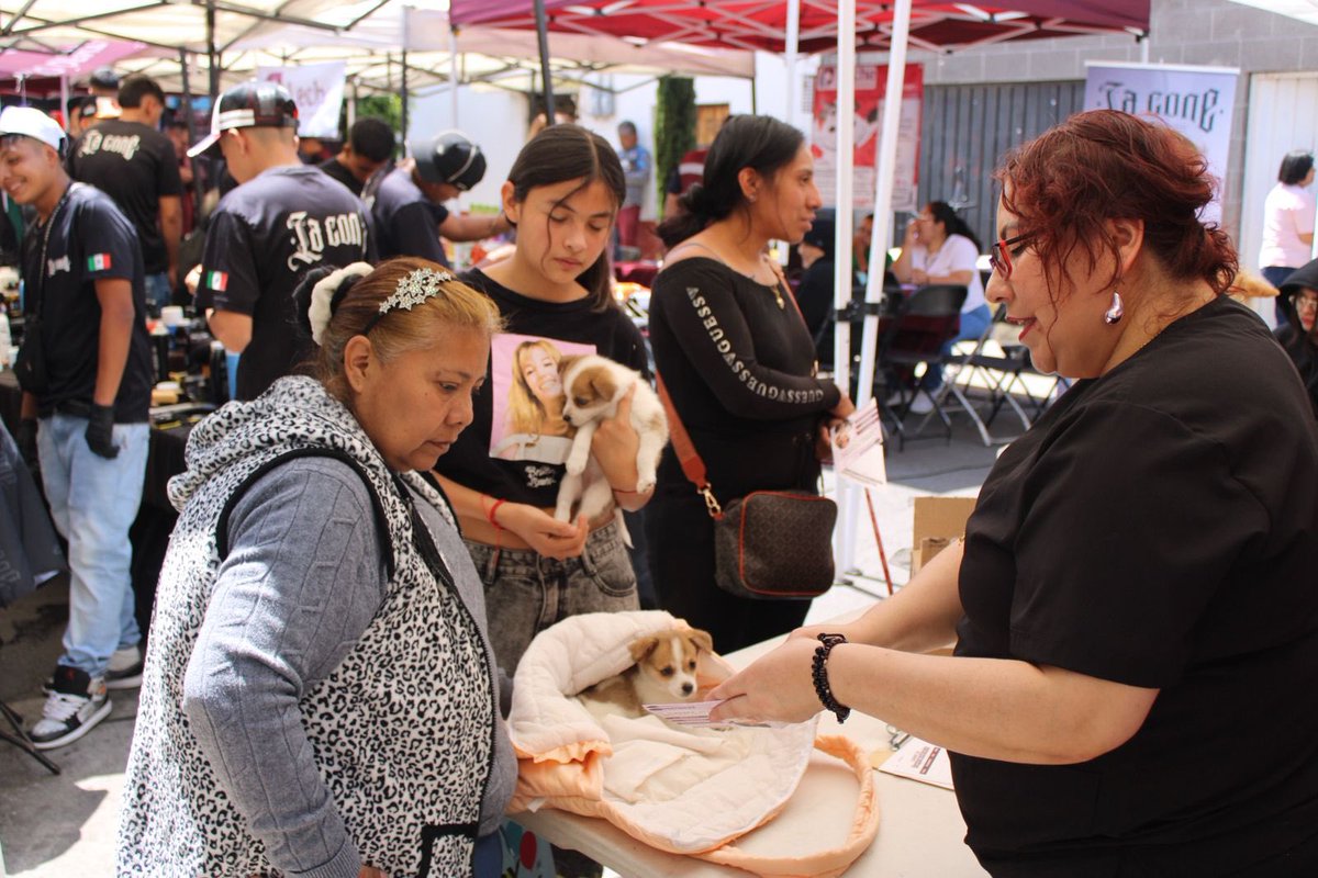 Dolores Padierna tweet media