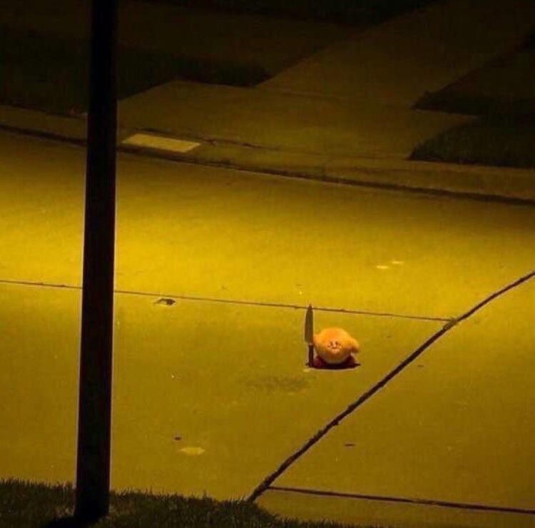 𝔐𝔬𝔪𝔪𝔞 ℭ𝔬𝔣𝔣𝔦𝔫𝔰 🏳️‍⚧️✨️ tweet media