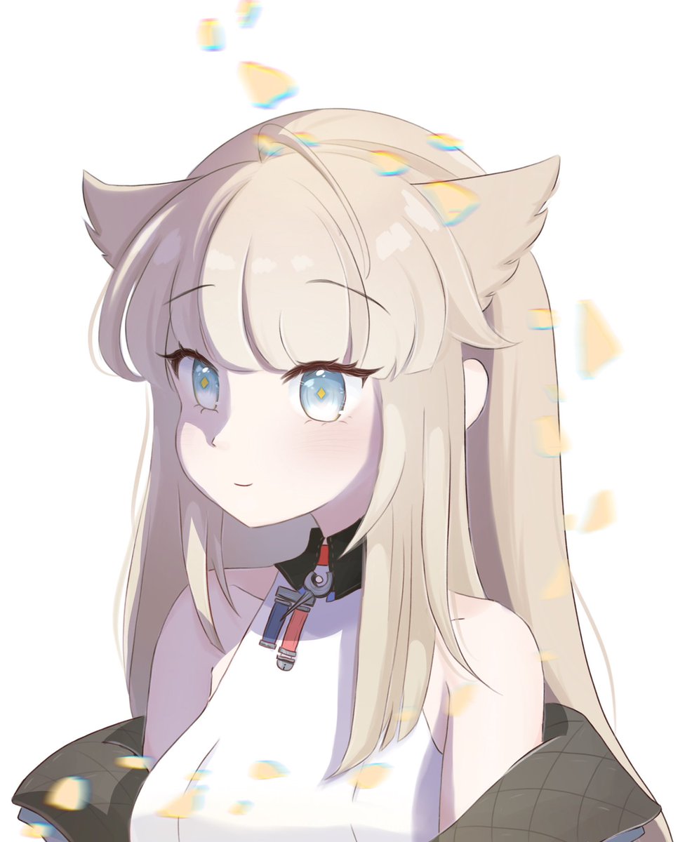 kyokoro 🤍🐾 tweet media