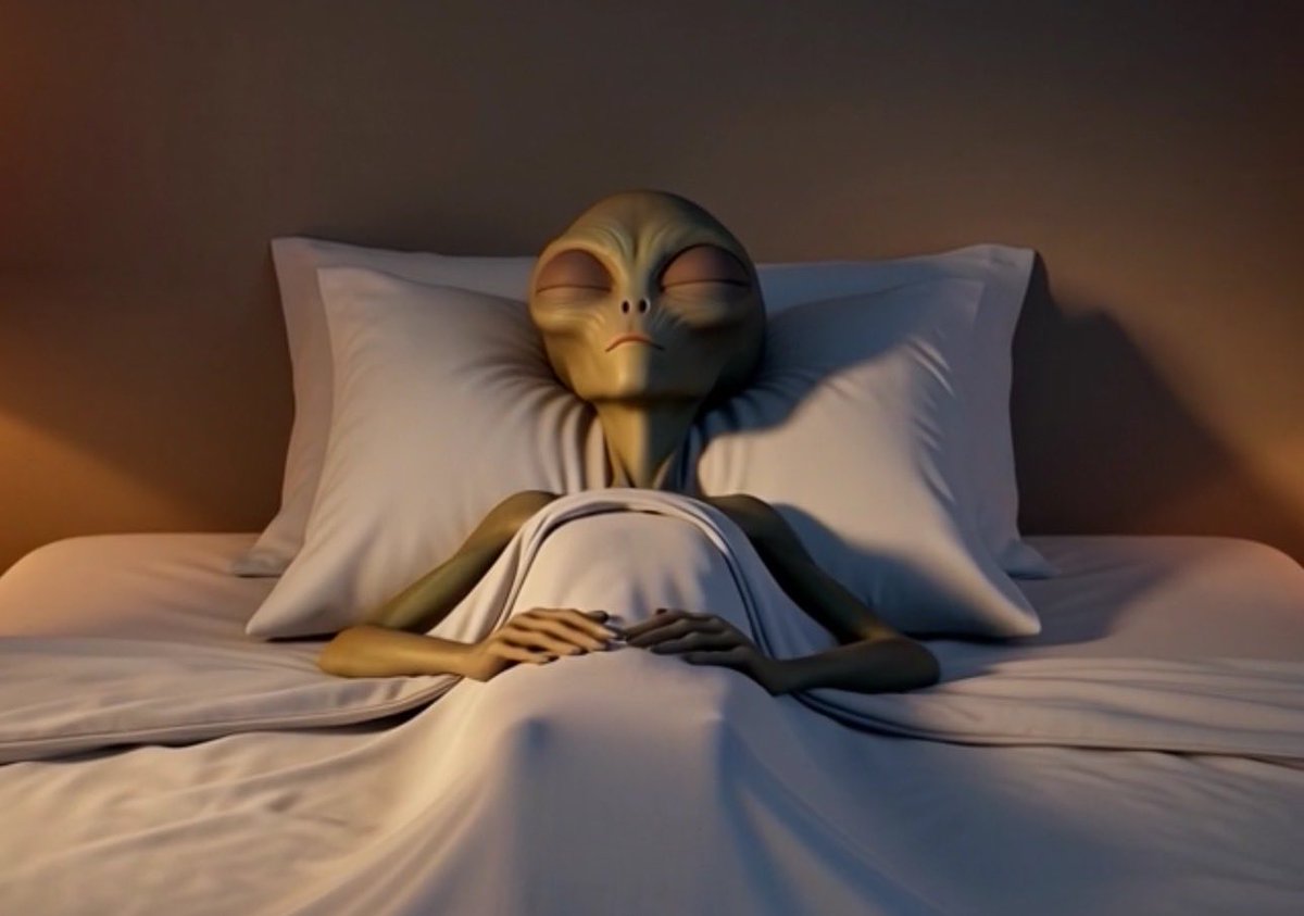 I Believe tweet media