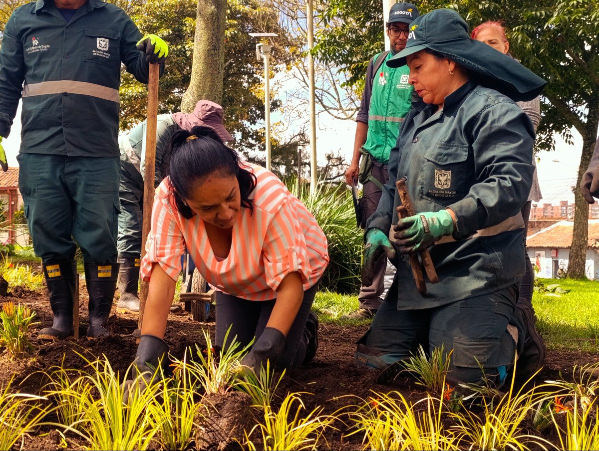 Jardín Botánico BOG tweet media