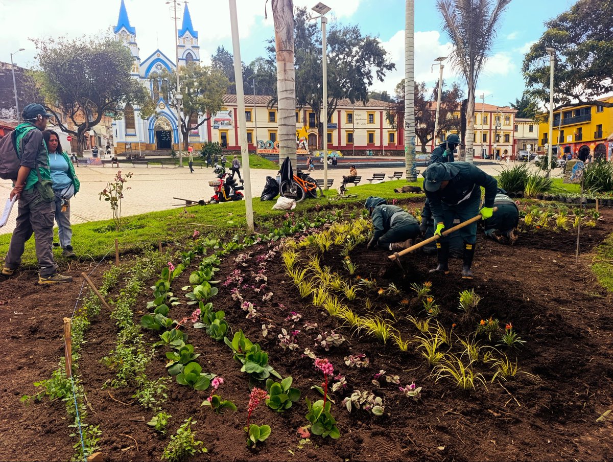Jardín Botánico BOG tweet media