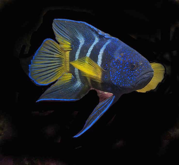 ليز💤 tweet media