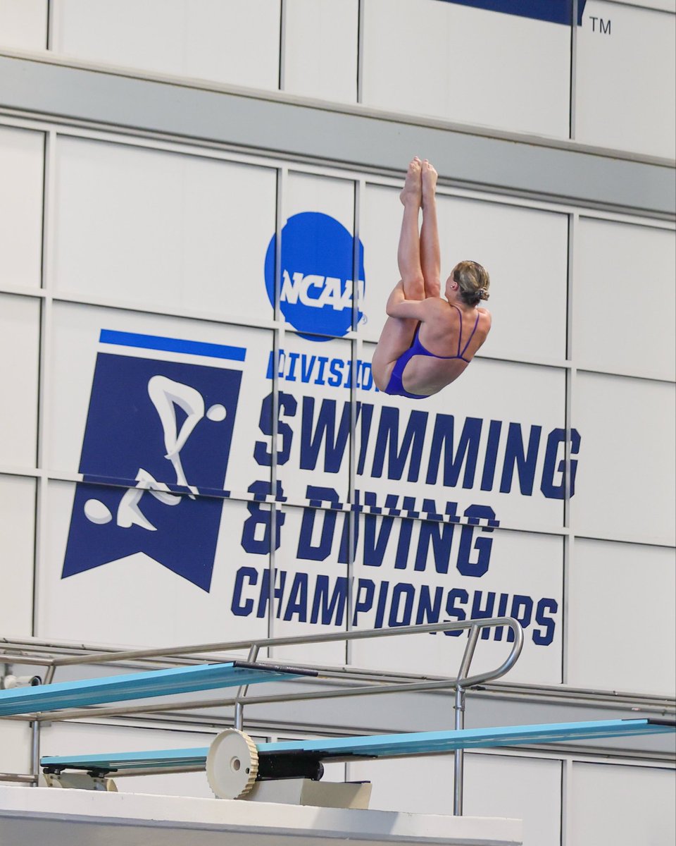 Kentucky Swim & Dive tweet media