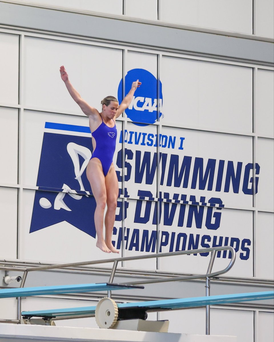 Kentucky Swim & Dive tweet media