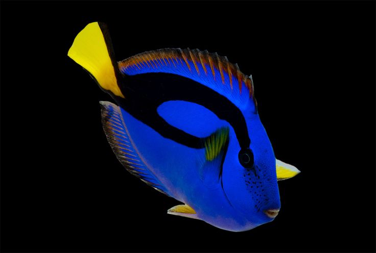 ليز💤 tweet media