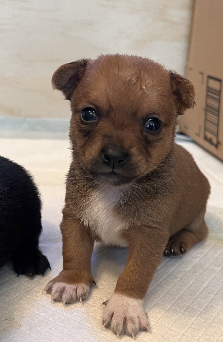 Heather “Z’s old lady” tweet media