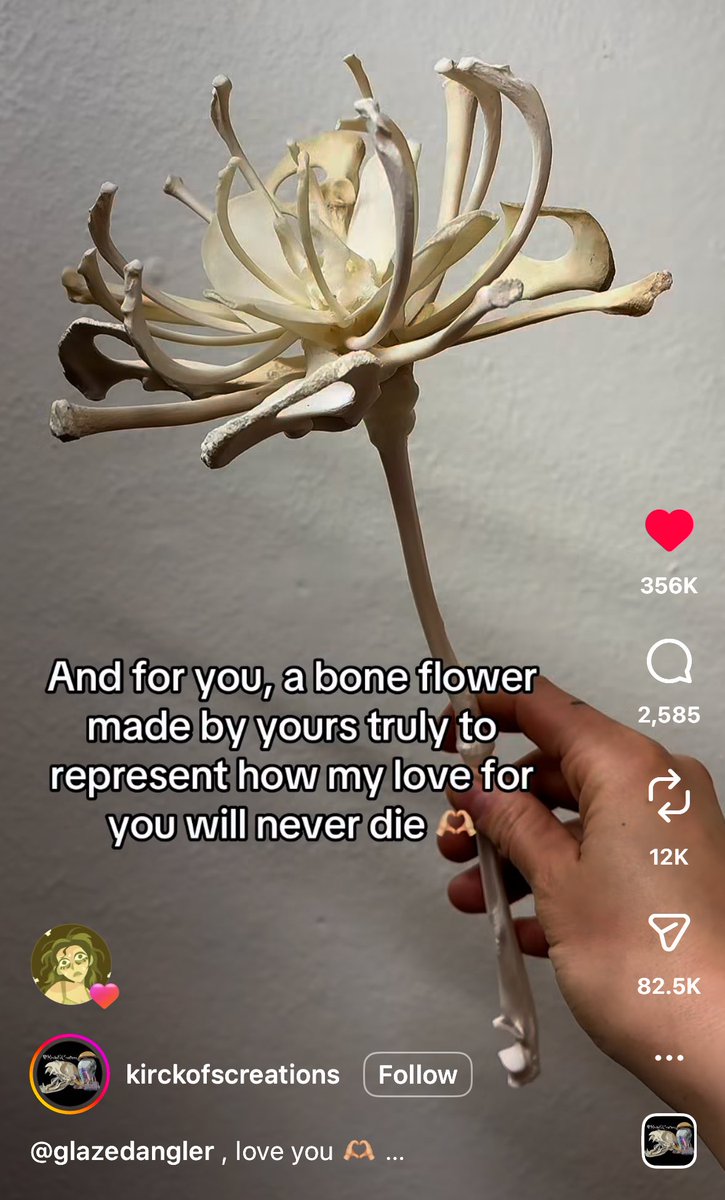 blondie 𐕣 tweet media