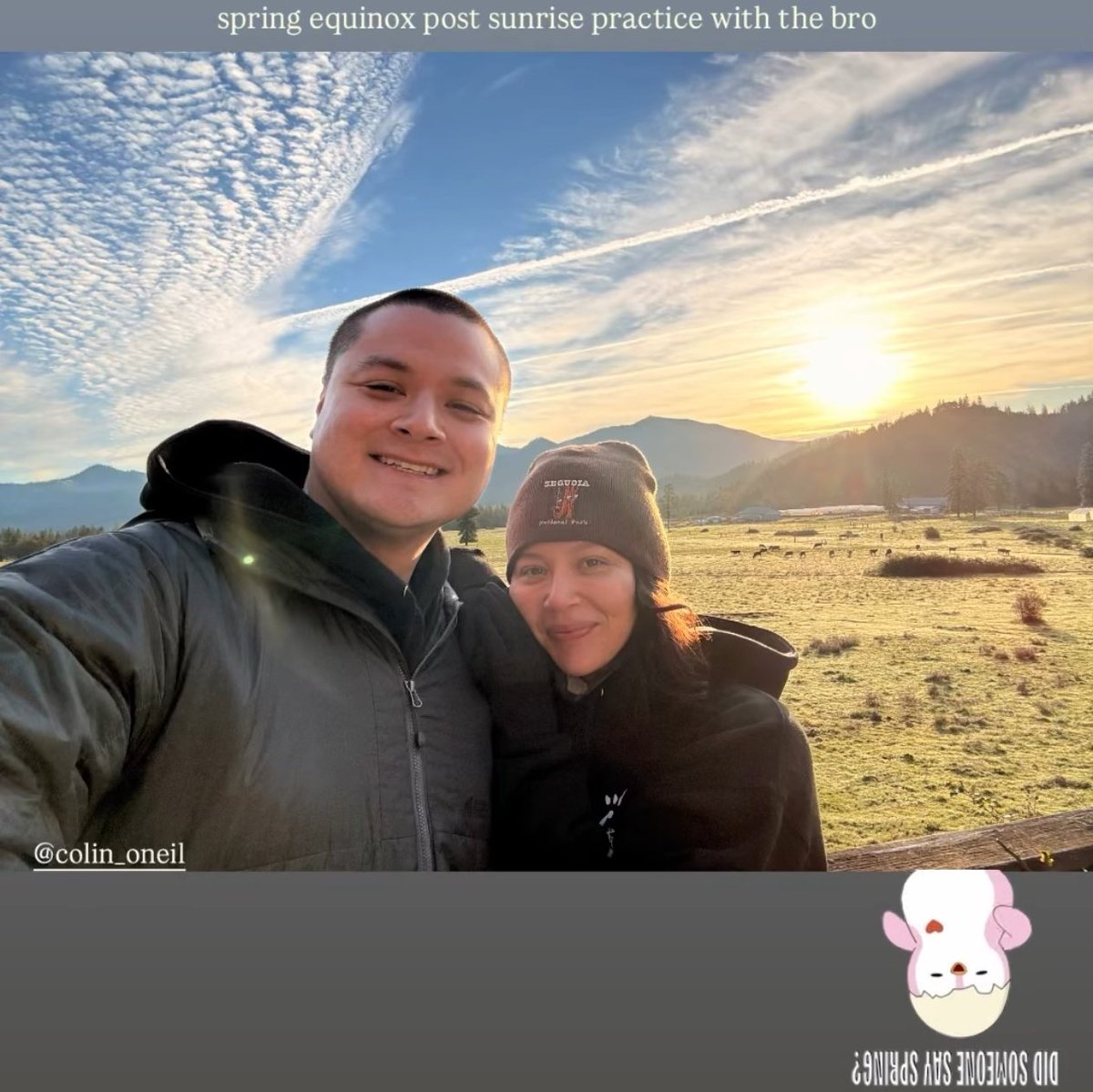 Sarah 🕊 | tweet media