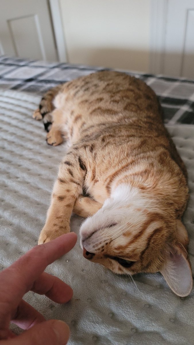 Coco 💙 tweet media