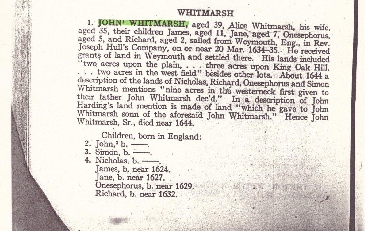 Lizzie Marbach tweet media