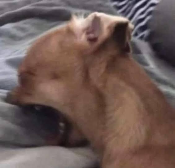 CountVT🦇🧄| VTUBER | tweet media