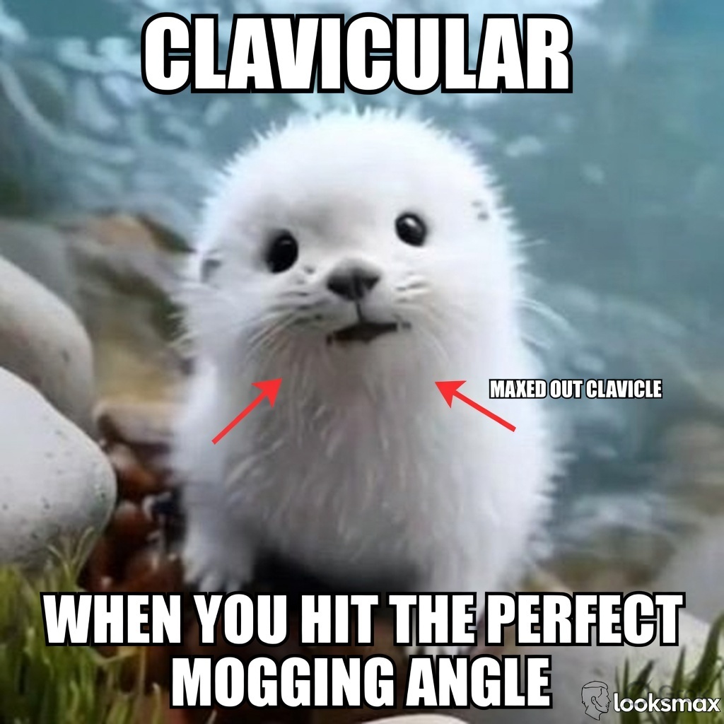 last known benjamin tweet media