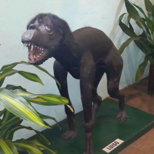 Kædiste tweet media