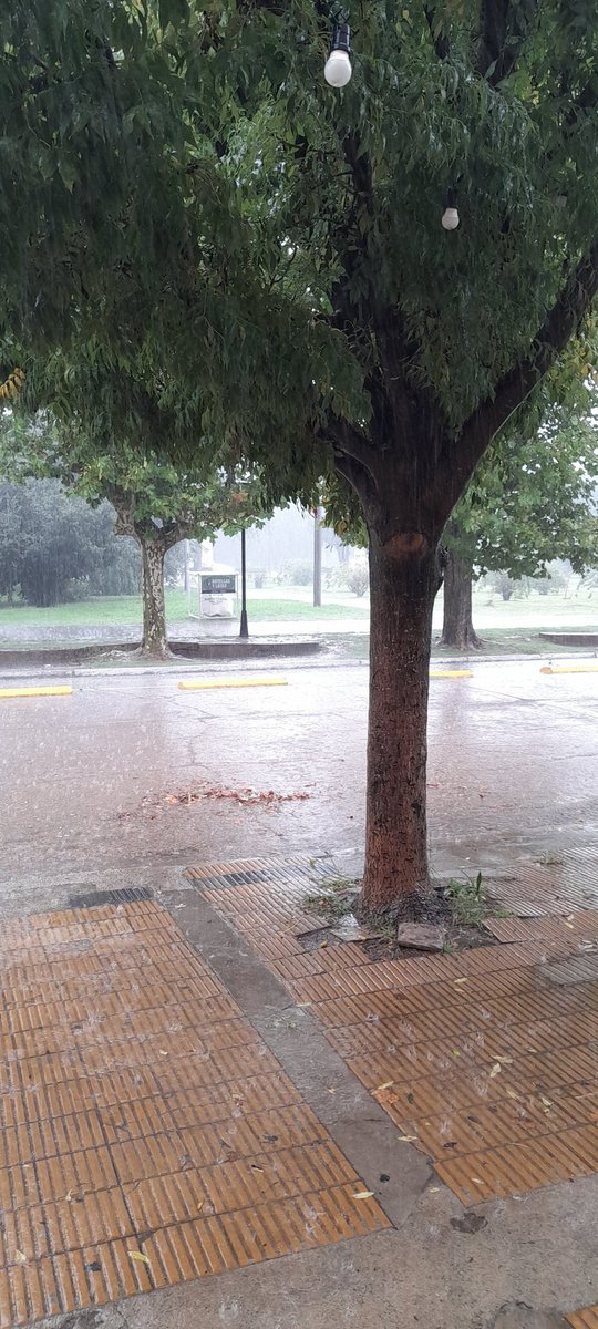 Se largo🌩🌨🌨