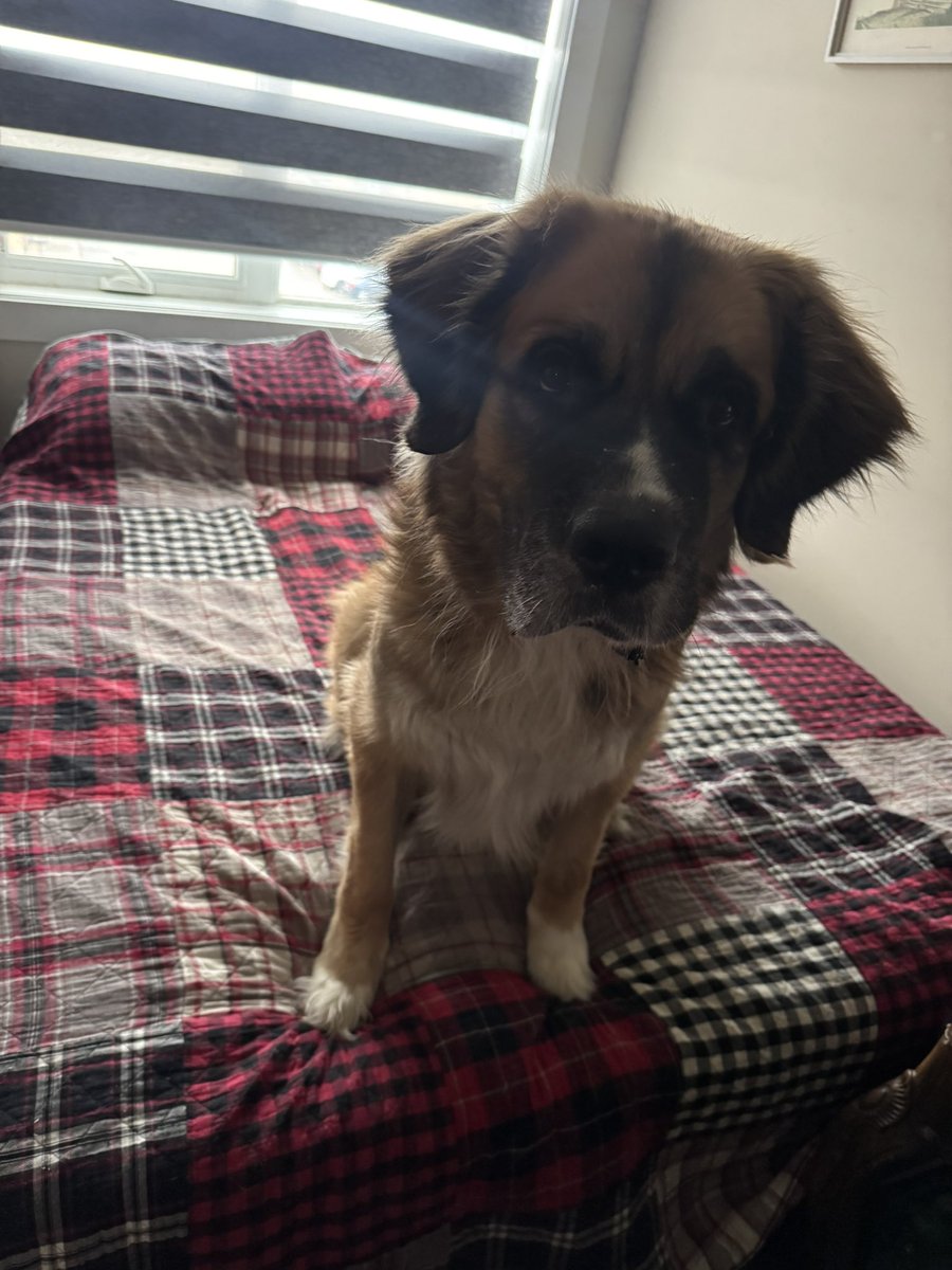 Craig Baird - Canadian History Ehx tweet media