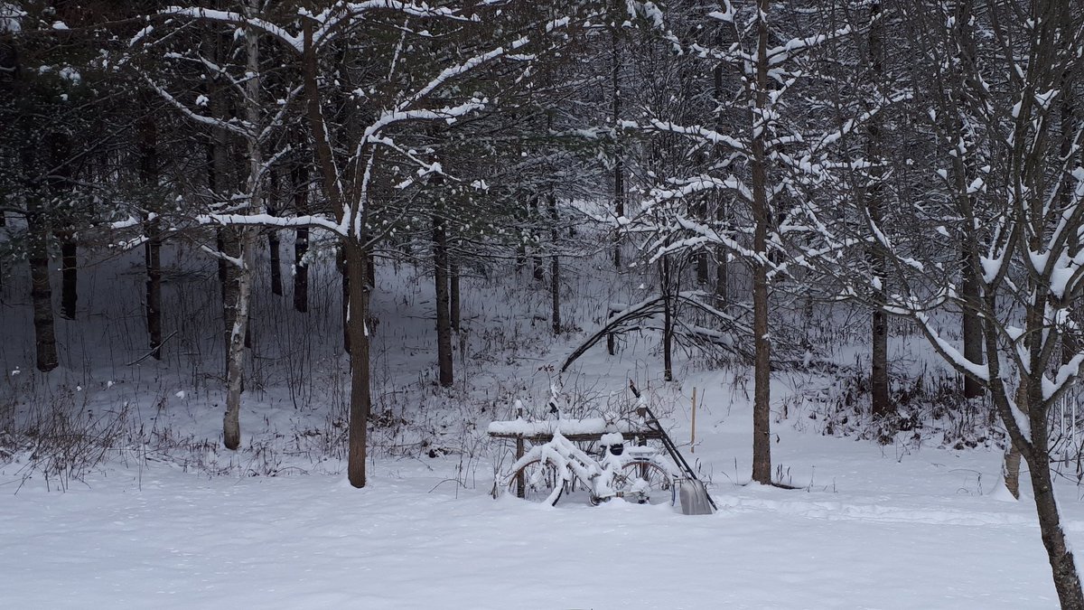 Mario Lessard tweet media