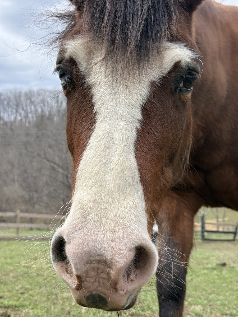 rook 𓆟 7 weeks until graduation tweet media