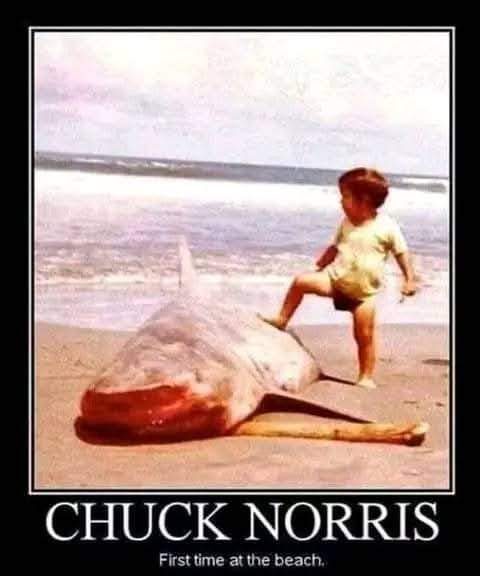 BaconGrease tweet media