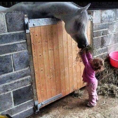 Patrizia💙 tweet media