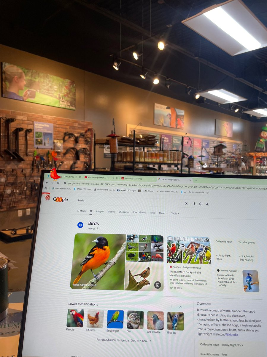 Science Cowboy 🦉 tweet media