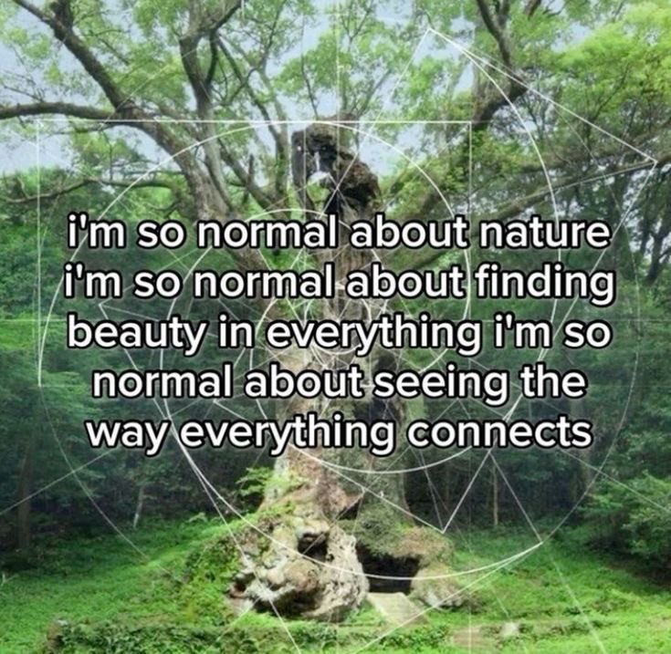 Victoria tweet media