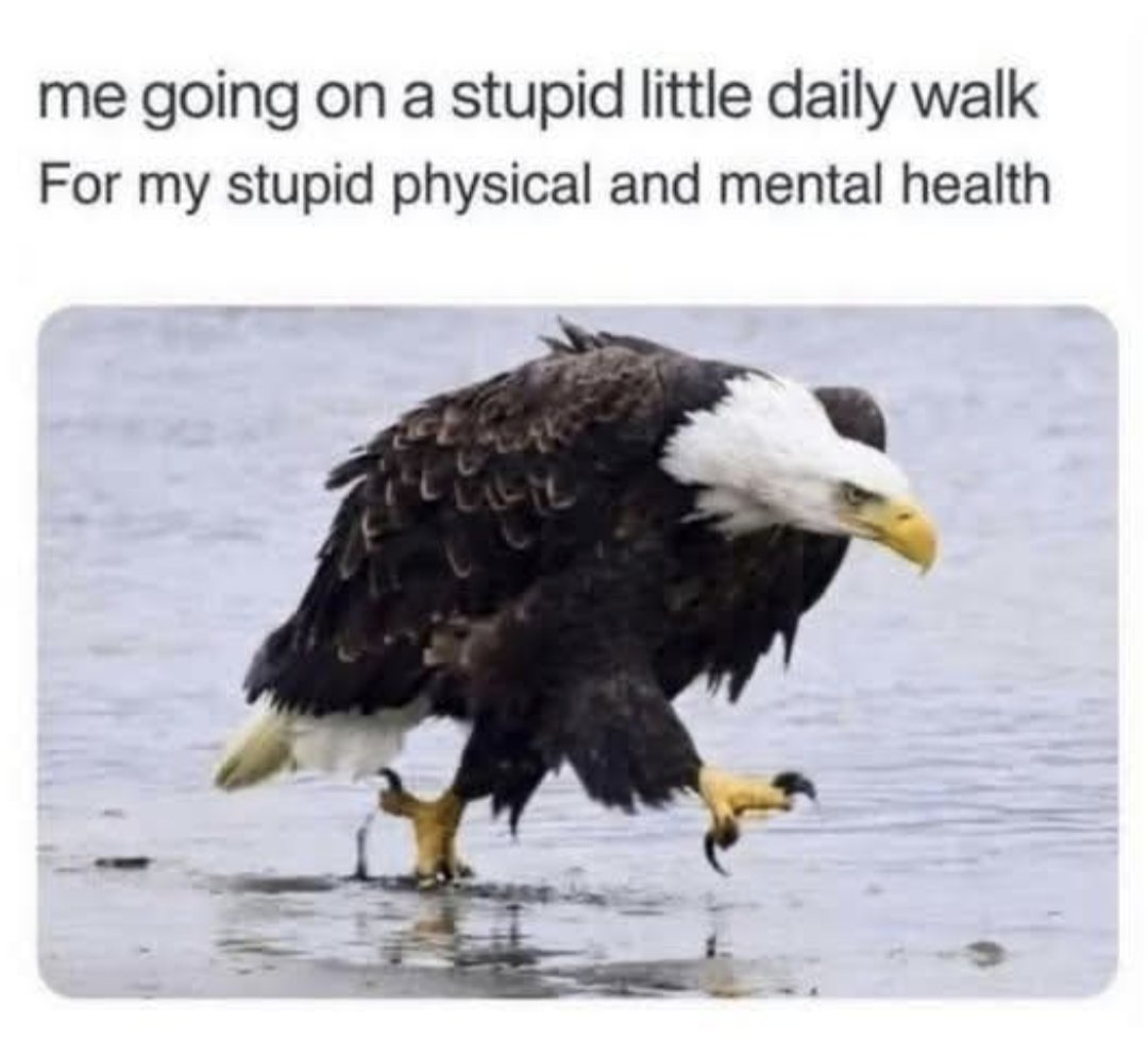 Suzanne Pothe 🇨🇦 tweet media