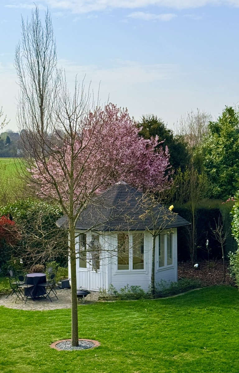 Bernd O. Engelien tweet media